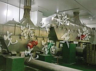 调味料（鸡精、茹精、海鲜精）生产线