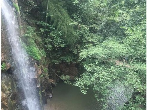 先锋干燥莫干山、乌镇、金鸡湖休闲两日游圆满结束